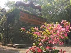 -海口火山口国家地质公园