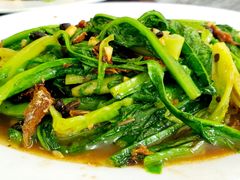 -得心斋(文华北路店)