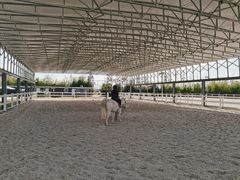 -上海崇明金茂凯悦酒店