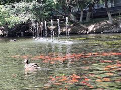 -水磨沟公园