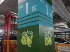 -复旦大学附属中山医院东院区-停车场