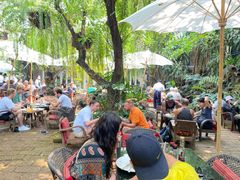 -Fern Forest Cafe