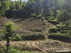 -婺源月亮湾