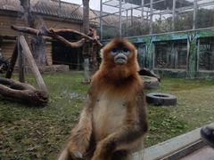 -西安秦岭野生动物园