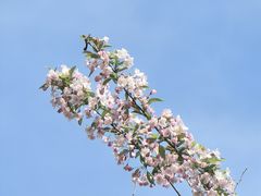 -陕西省西安植物园