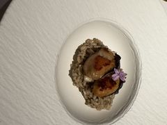 -Oyster Talks 四度蚝法餐厅