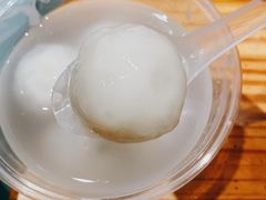 -海丝金凤(金鱼店)