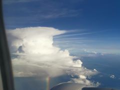 -快乐小羊(富强中路店)