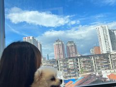 -怪兽屋·羊驼·猫咖·狗咖(俊华广场店)