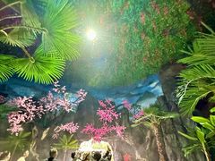 -贵州森林野生动物园