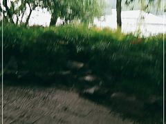 -苏堤停车场