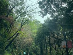 -广州市白云山风景名胜区