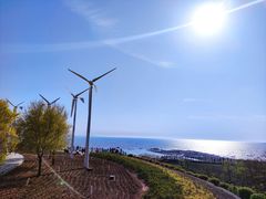 -辽宁团山国家级海洋公园