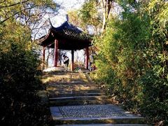 -上海佘山国家森林公园西佘山园