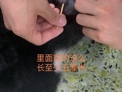 -成都民大动物医院