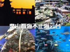 -海东龙宫寺