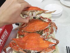 -大锅强·蒸海鲜青岛菜(吾悦广场店)