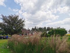-玫瑰海岸文化旅游度假区