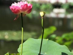 -郭庄景区