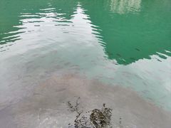 -靖西鹅泉风景区