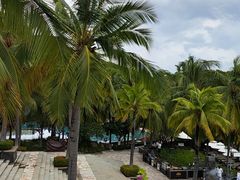 -日落吧·海景咖啡厅·餐酒吧·鸡尾酒·下午茶·乐队表演·浪漫夕阳·三亚文华东方酒店
