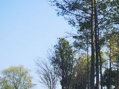 -美兰湖景区