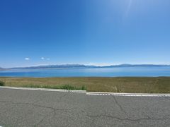 -煲来饱去冷水鱼