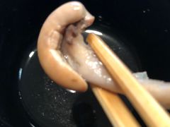 -本家 柴藤