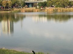 -福田红树林生态公园