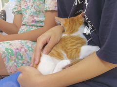 -美联众合动物医院·24h京西诊疗中心