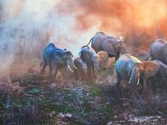 -罗红摄影艺术馆