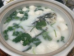 -紫藤园·天目湖大鱼头(南山竹海店)