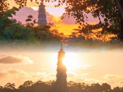 -顺峰山公园