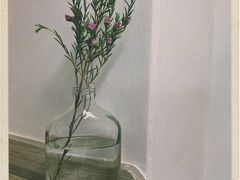 -奈雪的茶(苏宁广场店)