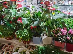 -BHG生活超市(安贞店)