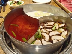 -青瓷火锅料理(西单大悦城店)