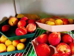 -亲兄弟真人CS团建拓展基地