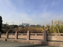 -长广溪湿地公园