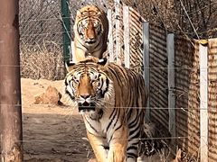 -济南野生动物世界