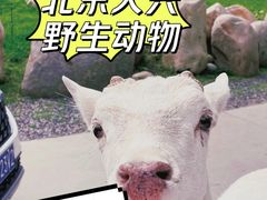 景点-北京野生动物园