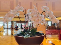 -北京中国大饭店