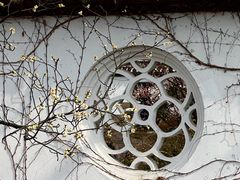 -梅花山(明孝陵内)
