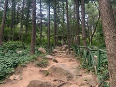 -鲁山国家森林公园