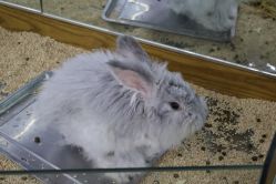 -未来动物城主题公园(正弘城店)