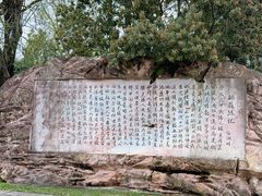 -常德桃花源景区