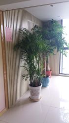 -美悦月子中心(财大店)