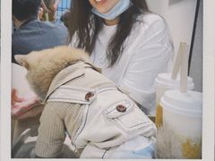 -逗柴咖啡屋·狗咖猫咖宠物桌游