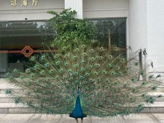 -西昌邛海宾馆