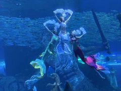 -波塞冬海底世界