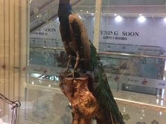 -万达广场(沈阳铁西店)